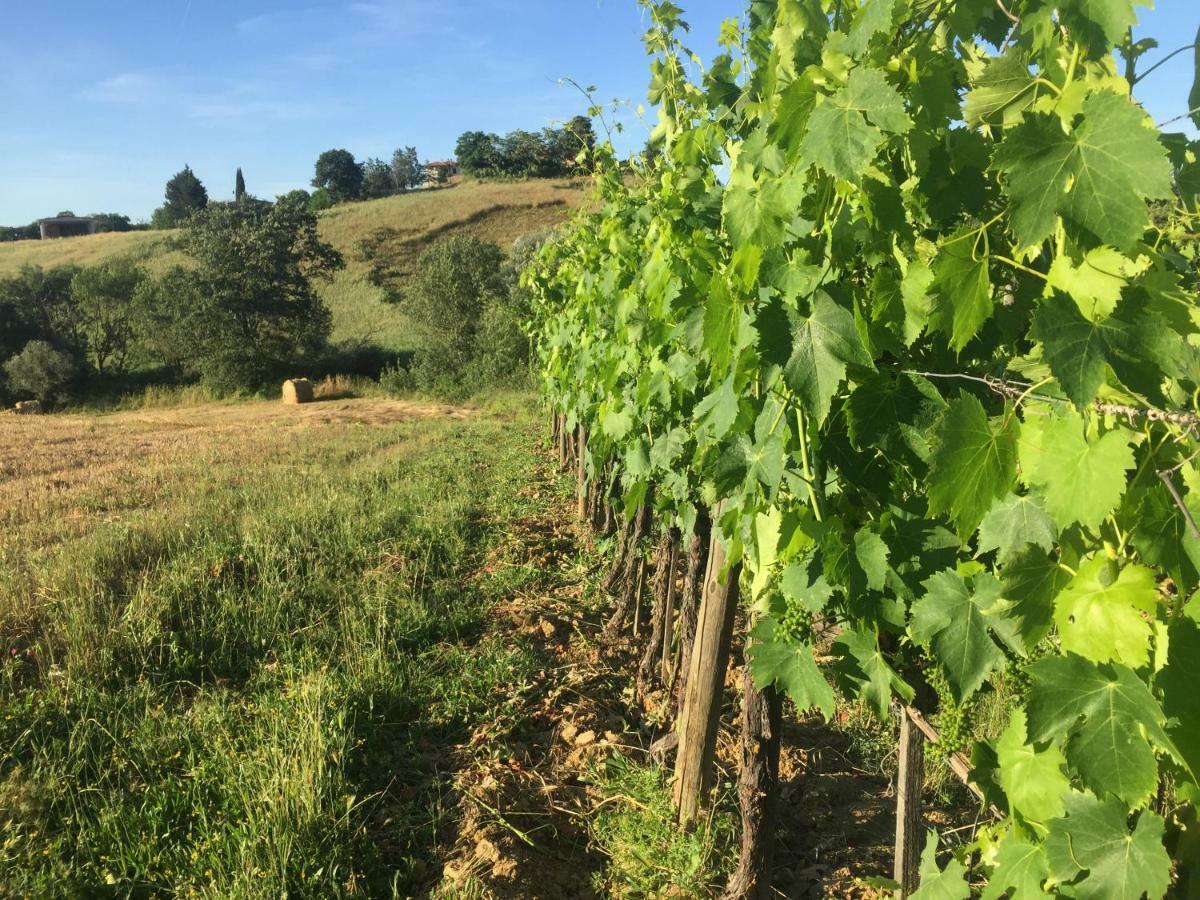 Poggio Alla Pietra 26 Porrona Exterior foto